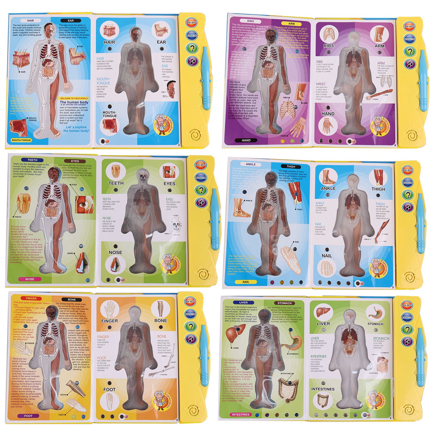Kids Atonomy Book Human Body Book Educational E-Book Intelligent Learning Machine Educational Toys for Kids Learning Shantou Toy hover